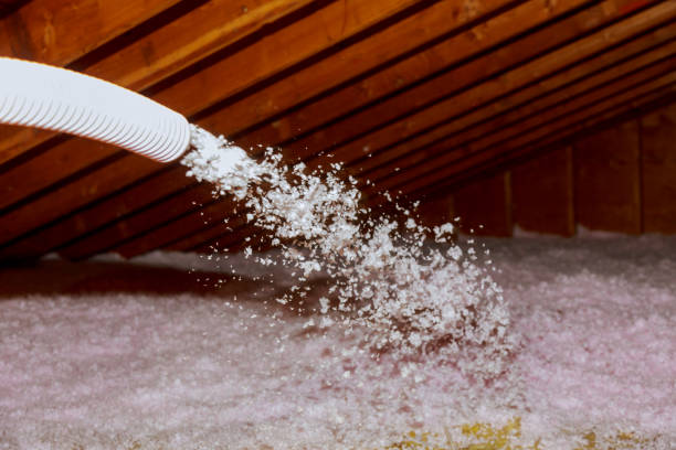 Best Types of Insulation in Casselberry, FL
