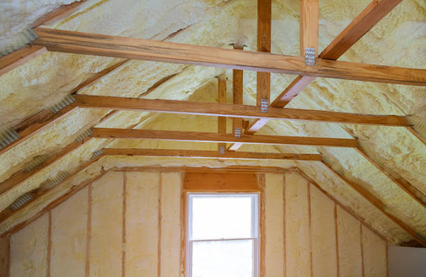 Best Commercial Insulation in Casselberry, FL